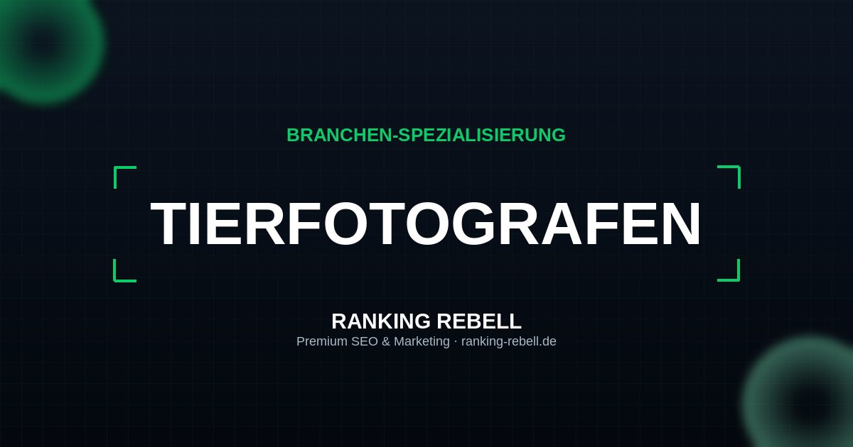 E-Commerce SEO für Tierfotografen - Strategischer Partner